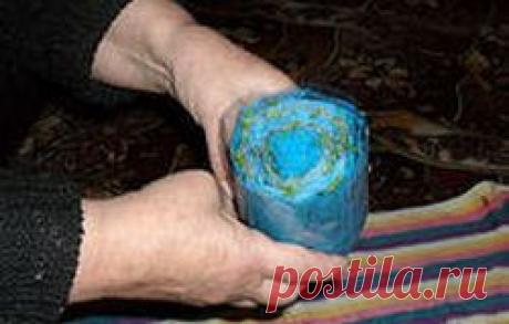 КАК ВЫРАСТИТЬ РАССАДУ ..... без земли, в полоске из целлофанового пакета...