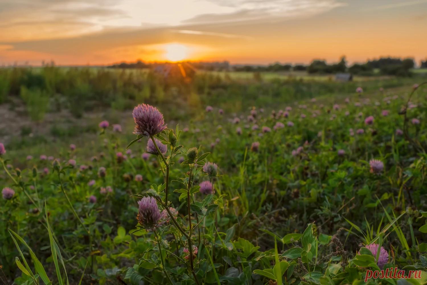 Закат в августе