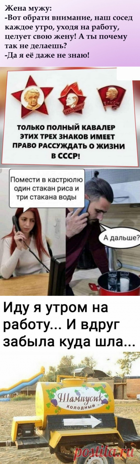 Весёлые картинки | Юмор | Яндекс Дзен