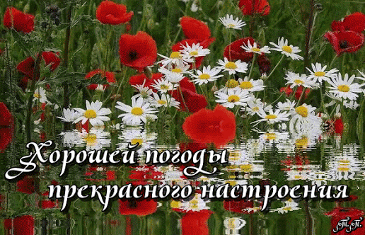 Удачи и везения желаю - Плейкасты