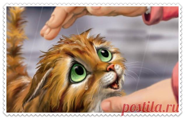 Рыжий котёнок (Катерина Кейнси) / Стихи.ру