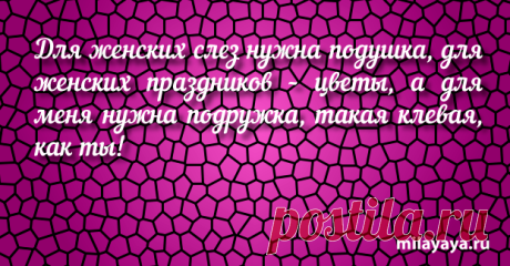 Красивый статус со смыслом в картинках из жизни для женщин (картинка 235) . Милая Я