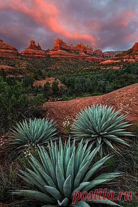 Pinterest