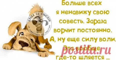 Интересные новости