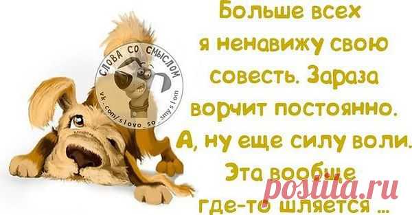 Интересные новости
