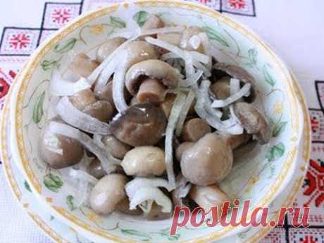 Как быстро замариновать шампиньоны в домашних условиях