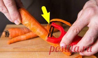 10 скрытых возможностей овощечистки, о которых знают только 2 хозяйки из десяти 
Готовка – процесс крайне увлекательный. Но львиную его долю занимает не колдовство у плиты со специями, а нудная чистка-нарезка. Хорошо, что человечество придумало специальную овощечистку и дело пошл…