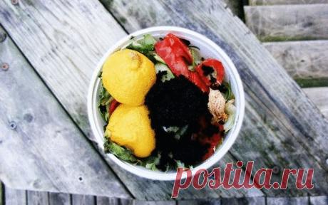 Что нельзя добавлять в компост.