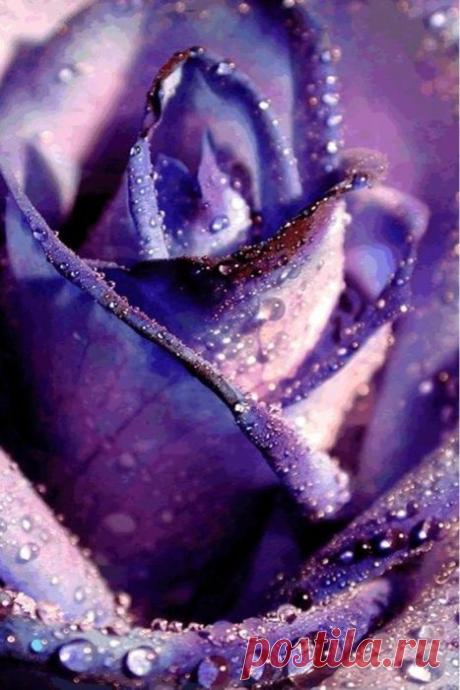 Pinterest: инструмент для поиска и хранения интересных идей