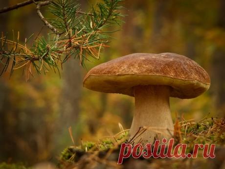 Мой Мир@Mail.Ru