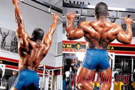 Спина с помощью подтягиваний! / Спорт Сильных!