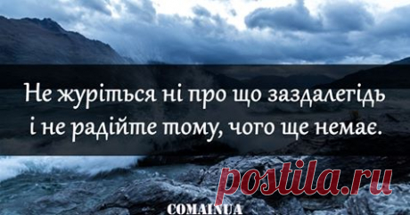 (83) Facebook