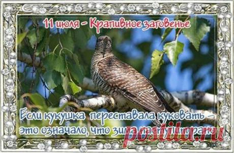 С праздником! Пусть ваши дни будут наполнены весельем, а дом будет надежно защищен от всех бед! Открытки на Крапивное заговенье!