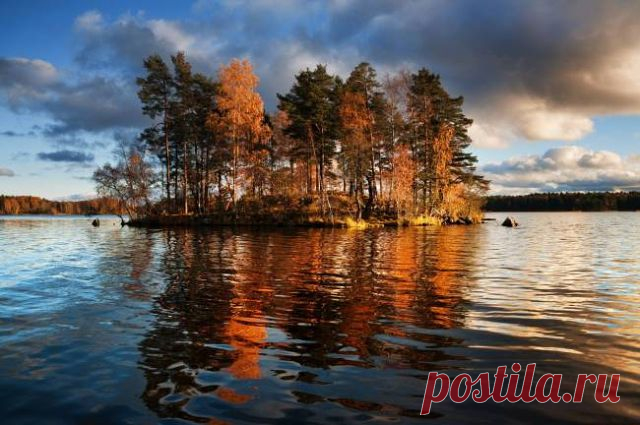 ДОМОВОДСТВО(обо всем)
Елена Чурсинова