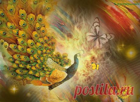 5 октября 2019. Символы и магия, приметы и сны, талисманы дня | Астропропаганда | Яндекс Дзен

✨ Автор: астролог Нина Стрелкова. ✧ Магия, сны и гадания. 5 октября 2019. День связан с семьей, домом, духами предков и природы, с покаянием и исправлением ошибок. А также с трансформацией личной энергии, преображением и возрождением. Счастливый сон: хорошо до восхода солнца видеть во сне чистую и красивую одежду. После восхода солнца хорошо во сне увидеть зеленые, здоровые и красивые деревья...