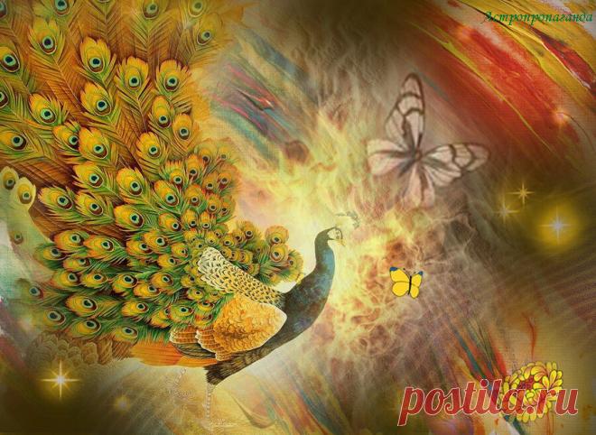 5 октября 2019. Символы и магия, приметы и сны, талисманы дня | Астропропаганда | Яндекс Дзен

✨ Автор: астролог Нина Стрелкова. ✧ Магия, сны и гадания. 5 октября 2019. День связан с семьей, домом, духами предков и природы, с покаянием и исправлением ошибок. А также с трансформацией личной энергии, преображением и возрождением. Счастливый сон: хорошо до восхода солнца видеть во сне чистую и красивую одежду. После восхода солнца хорошо во сне увидеть зеленые, здоровые и красивые деревья...