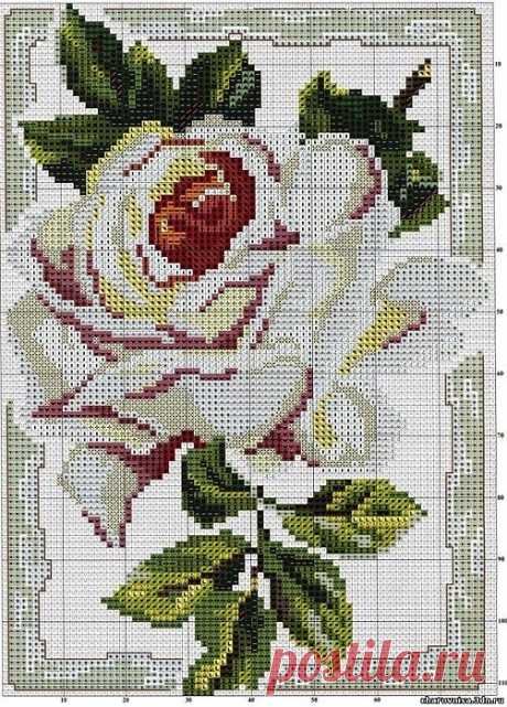 Вышивка крестом. "Шиповник". Схема.