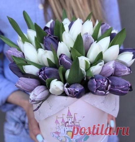 ღГороскоп на неделю: "Все у всех получится!"