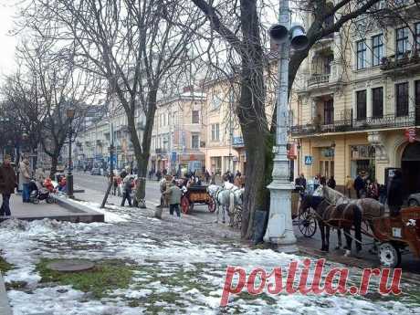 Львів