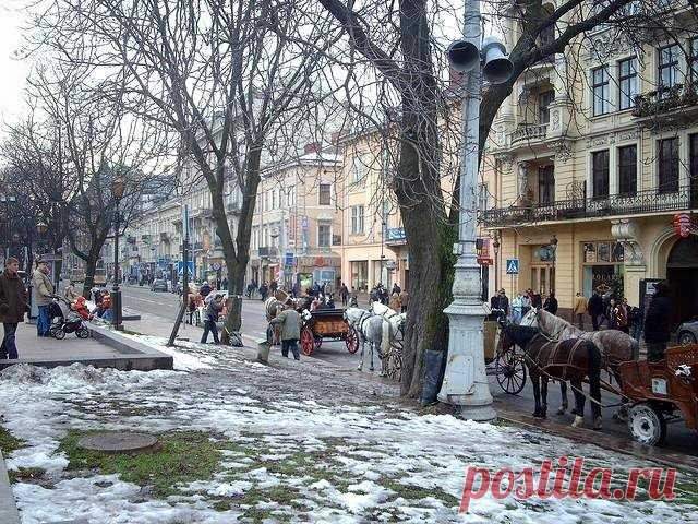 Львів