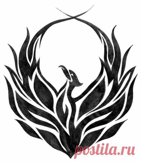 Феникс чб — Яндекс.Диск