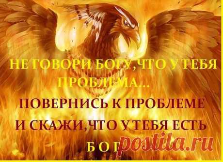 (49) Одноклассники