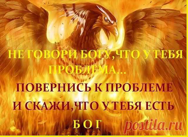 (49) Одноклассники