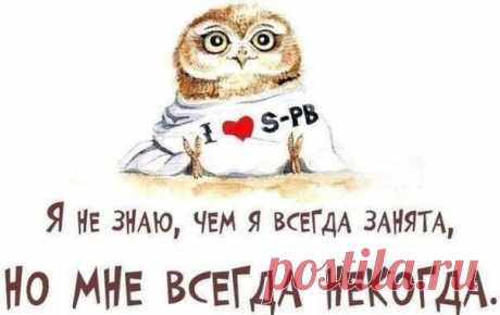 Забавный день | ПолонСил.ру - социальная сеть здоровья