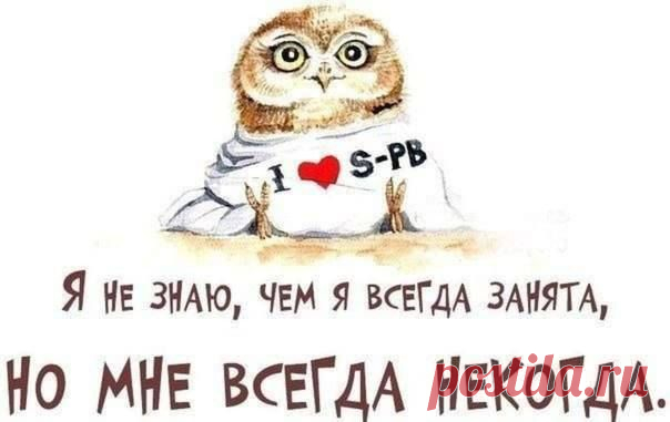 Забавный день | ПолонСил.ру - социальная сеть здоровья