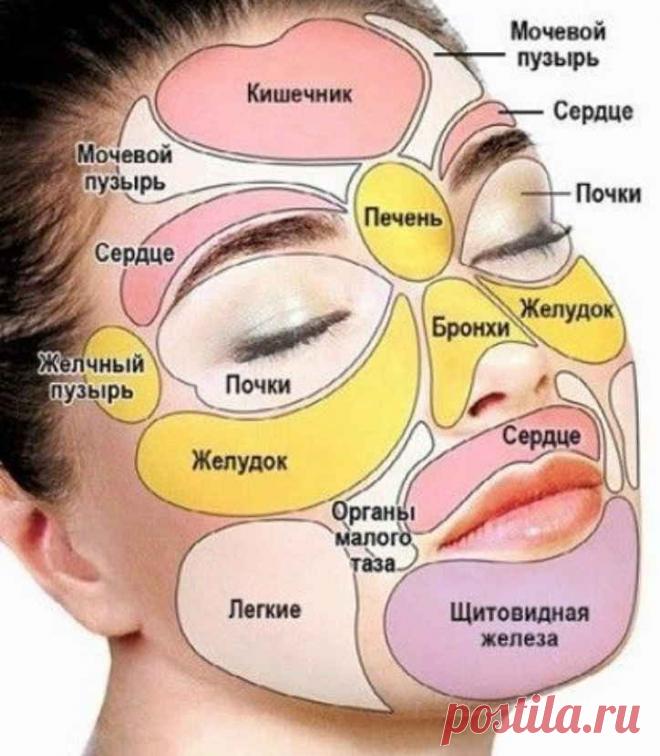 15 сигналов о болезни, которые наш организм подает нам - Журнал Советов 1. Припухлые веки Таким образом организм может вам «сообщать» о проблемах с почками, особенно если это сопровождается ощущением общей разбитости и холодной, бледной на вид кожей. 2. Бoлезненная чувствительность глаз к яркому свету Это может быть “расплатой” за злоупотребление алкоголем и табаком. Пора прекращать! Иногда это симптом «сенной лихорадки» (поллиноза – аллергии на цветение растений), […]