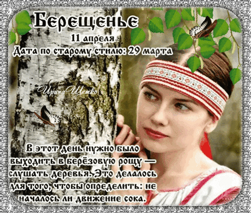 С Берещеньем! Пусть березовый сок подарит крепкое здоровье, а удача станет частым гостем в доме. Пусть, как стройная березка, ваша жизнь будет светлой, чистой и прекрасной! Открытки на Берещенье!