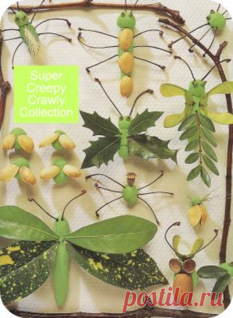 20+ Nature Crafts for Kids » Dragonfly Designs