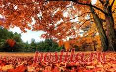 Golden_Autumn_2015.jpg (1680×1050)