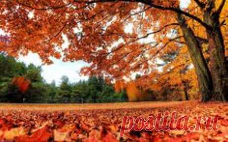 Golden_Autumn_2015.jpg (1680×1050)