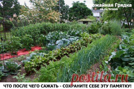 Одноклассники