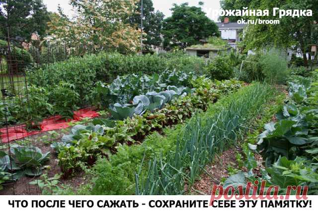 Одноклассники