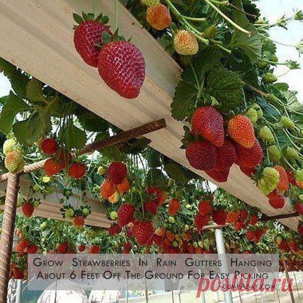 Dump A Day Simple Ideas That Are Borderline Genius - 28 Pics