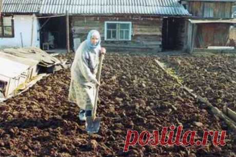 Любить по-русски: о смерти русской бабушки заговорила вся Япония 

В последний путь 94-летнюю Клавдию Новикову провожали всего несколько человек: родных почти не осталось, подруги тоже давно отошли в мир иной. А вот в Японии о смерти жительницы поселка Прогресс объ…