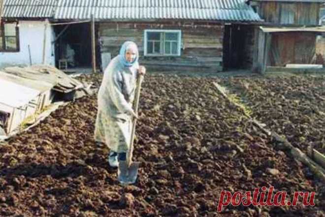 Любить по-русски: о смерти русской бабушки заговорила вся Япония 

В последний путь 94-летнюю Клавдию Новикову провожали всего несколько человек: родных почти не осталось, подруги тоже давно отошли в мир иной. А вот в Японии о смерти жительницы поселка Прогресс объ…