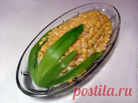 Салат &quot;Кукуруза&quot; | Ваши любимые рецепты