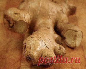 Имбирь для похудения