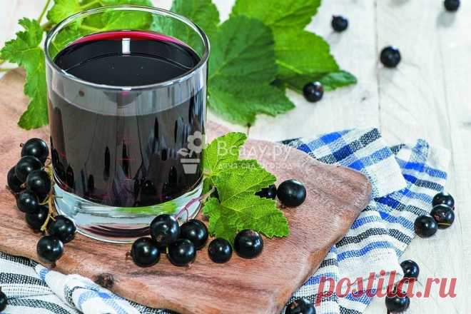Рецепт приготовления настойки из черной смородины на водке