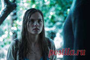 Ангелина Стречина