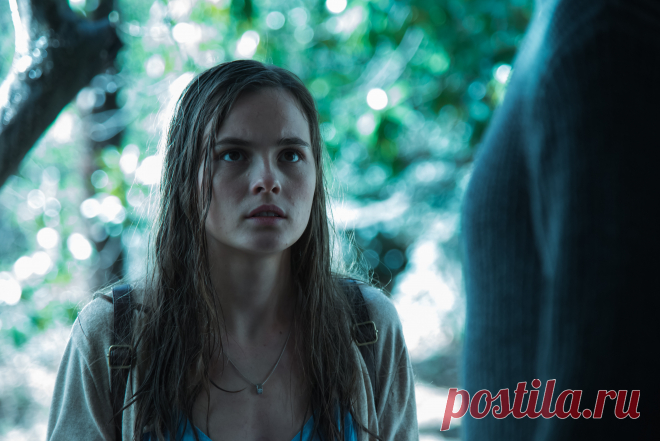 Ангелина Стречина