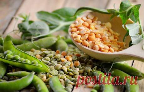 Как горох может помочь картофелю — Дачный участок