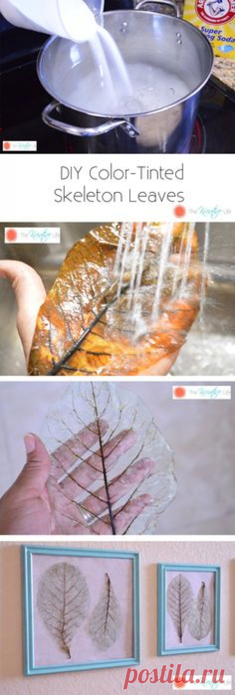 Pinterest • Всемирный каталог идей