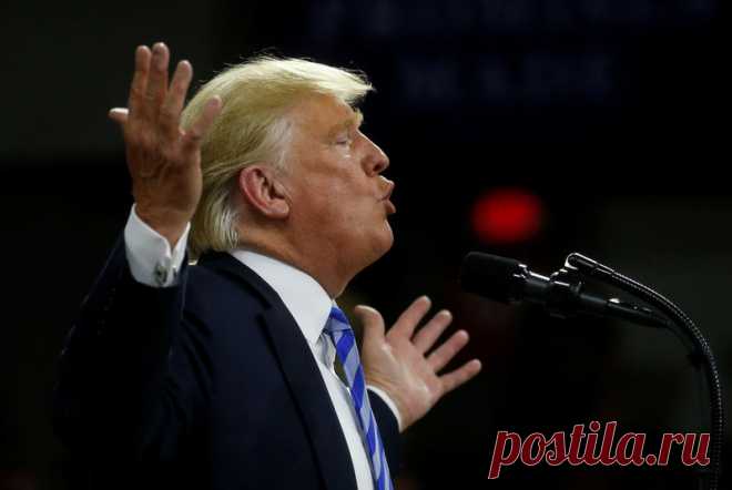 СМИ: Трамп поддержал вытеснение России с рынка нефти