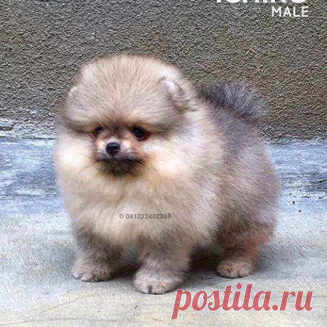(48) Facebook