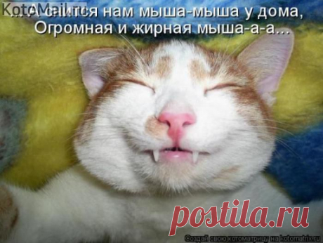 Нарколог. | KotoMail.ru