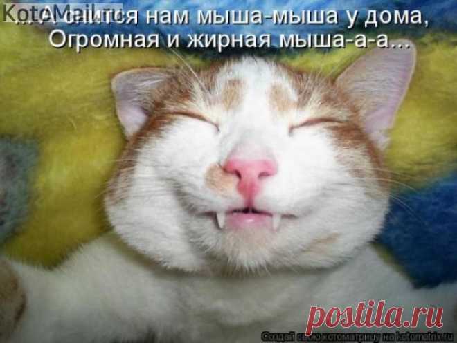 Нарколог. | KotoMail.ru